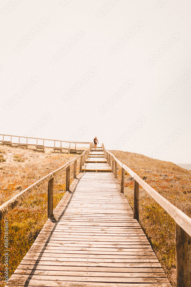 Fototapeta premium boardwalk in the dunes