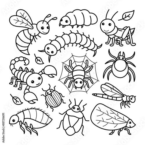 Handdrawn doodle illustration of insect