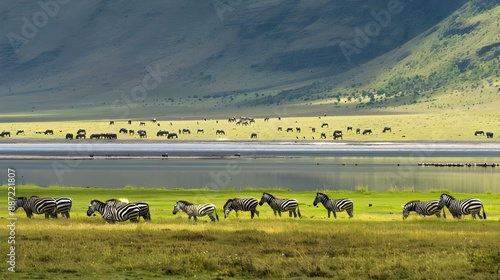 Zebras and wildebeests in the Ngorongoro Crater