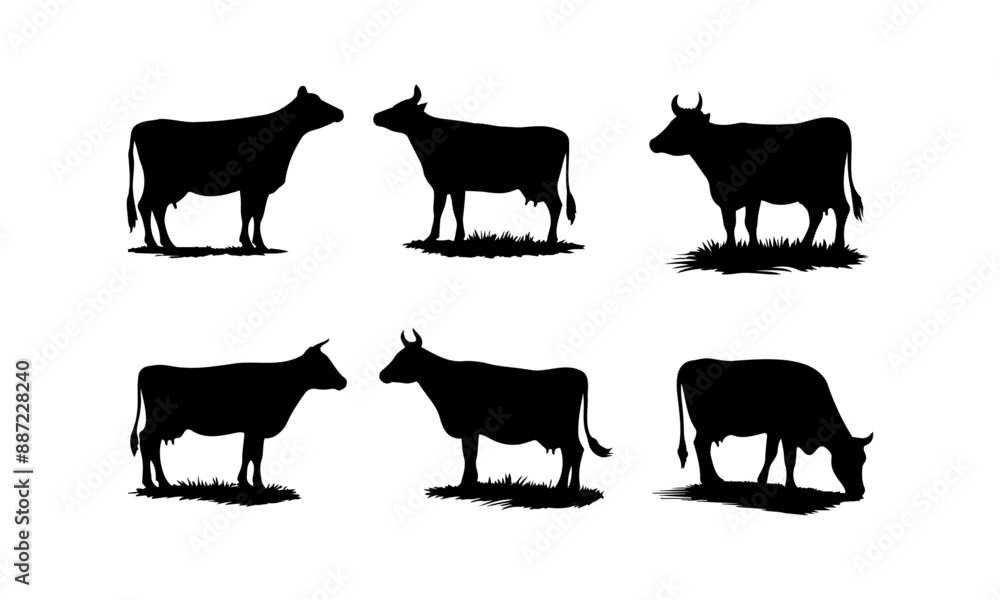 Cow different poses silhouettes set isolated on white background, Cow vectors set in black and white. Cow different poses silhouettes set isolated on white background, Cow vectors set in black and white.