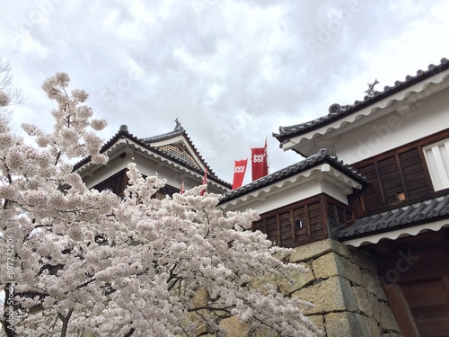 上田城と桜