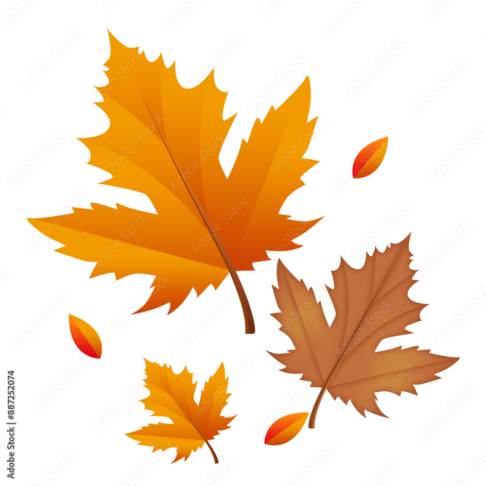 autumn leaves isolated autumn leaves isolated