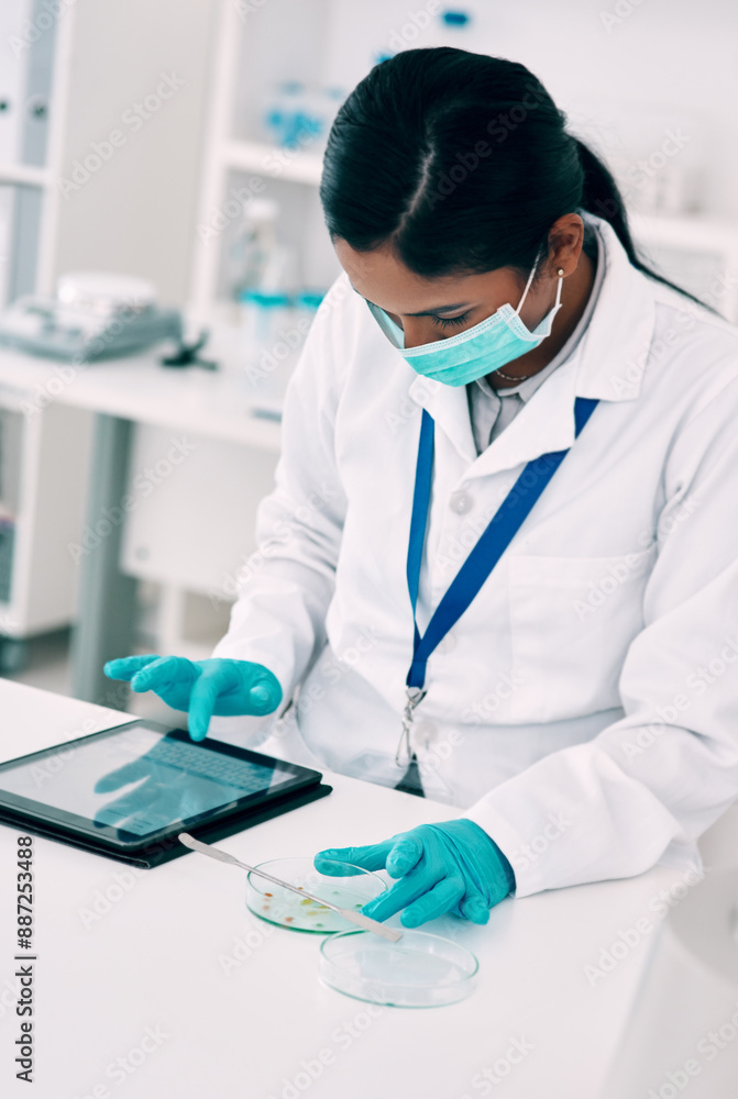Sample, science and tablet with woman in laboratory for experiment, innovation or research. Healthcare, medical and petri dish with scientist at desk for breakthrough, development or discovery Sample, science and tablet with woman in laboratory for experiment, innovation or research. Healthcare, medical and petri dish with scientist at desk for breakthrough, development or discovery