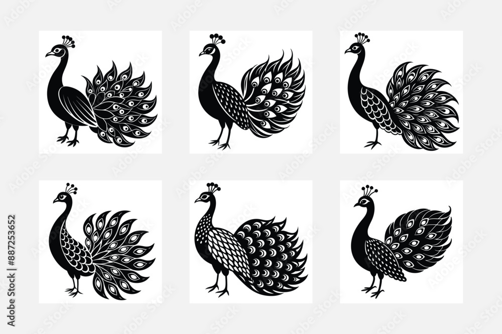 Fototapeta premium Cute peacock set Vector silhouette illustration