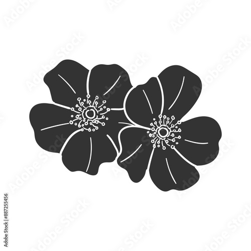 Cherokee Rose Icon Silhouette Illustration. Vector Graphic Pictogram Symbol Clip Art. Doodle Sketch Black Sign.