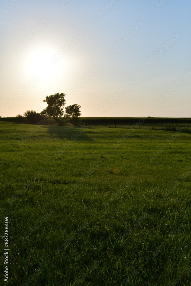 Obraz premium Rural Sunset