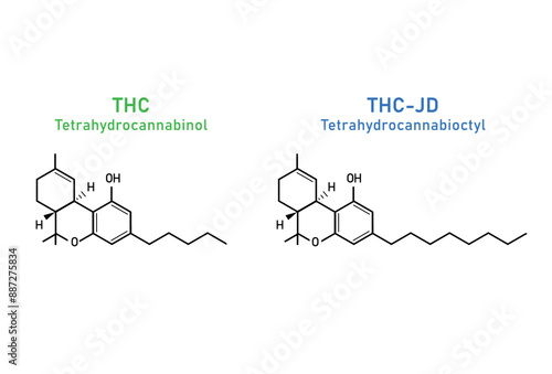 THC and THC-JD cannabinoid chemical structures. Tetrahydrocannabinol and tetrahydrocannabioctyl chemical structures. Vector illustration against a white background. Natural vs synthetic marijuana.