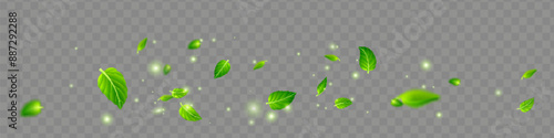 Green shiny line spiral spring wind effect with dust particles and leaves particles on black background. Concept of freshness, growth, spring, summer and ecology.