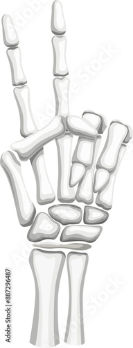 Skeleton hand forming the iconic V for victory or number two gesture. Isolated vector skeletal arm with outstretched bony fingers, symbolizing triumph and success with eerie, Halloween charm