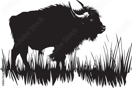 Bison Black Silhouette on white background