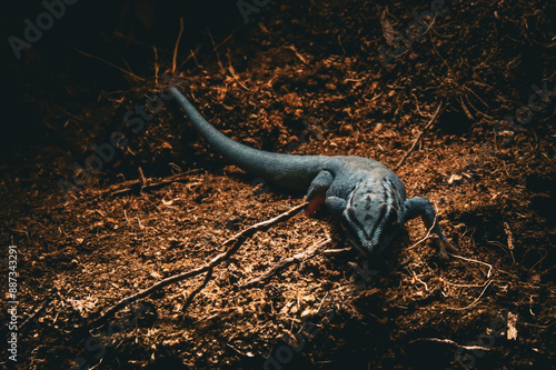 Blauer Gecko Zootier des Jahres 2024 photo