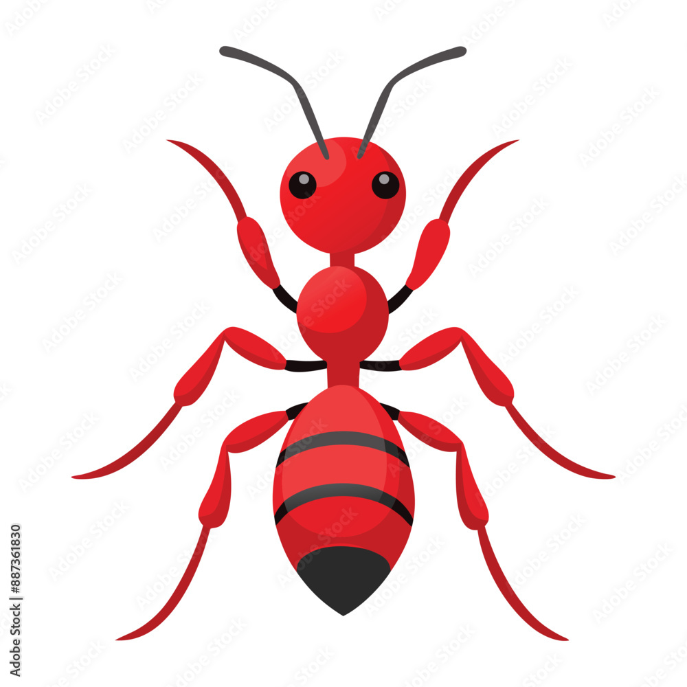 Illustration of Red wood ant isolated Illustration of Red wood ant isolated