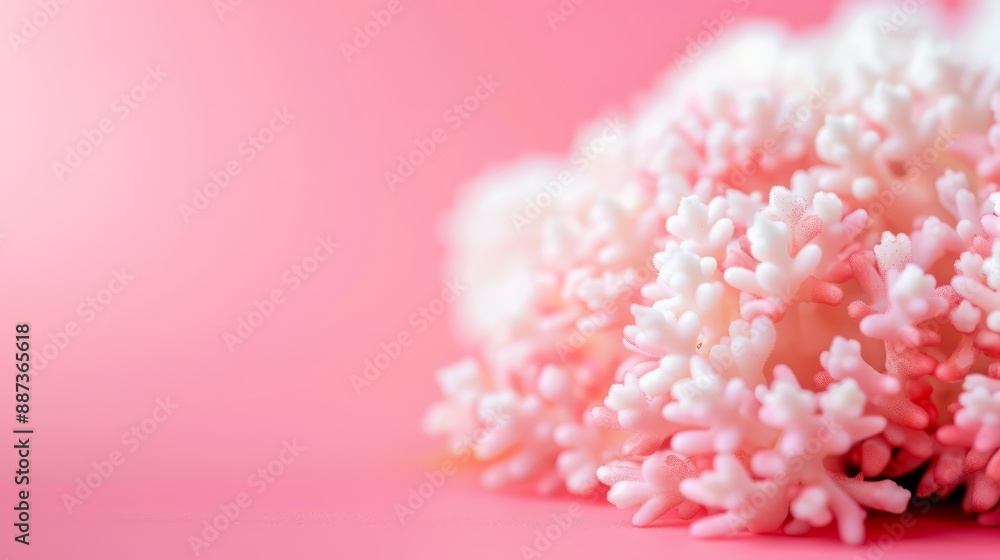 Obraz premium A pink surface with a light pink background is adorned with a cluster of pink and white sprinkles