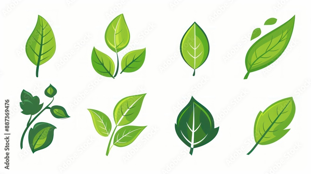 Set of Green Leaves Illustration Set of Green Leaves Illustration