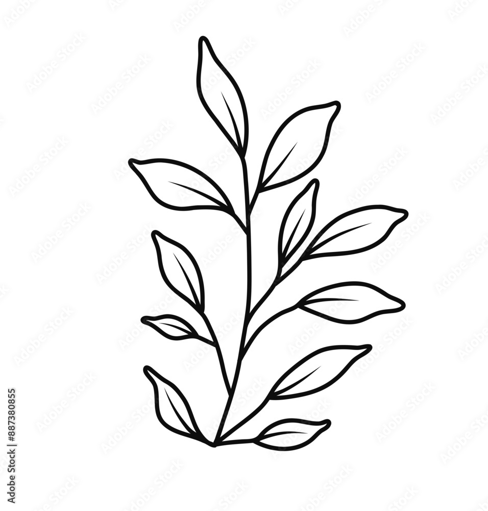Floral Line Art Floral Line Art