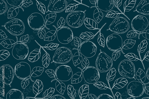seamless pattern guava vector drawing