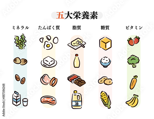 五代栄養素
