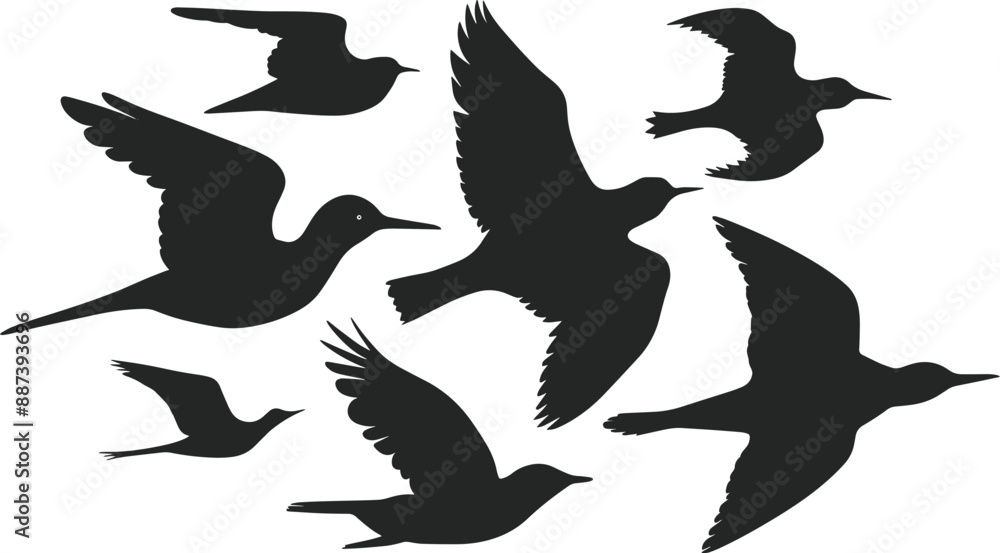 Various Flying birds vector set icons silhouettes style with white background Various Flying birds vector set icons silhouettes style with white background