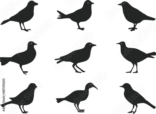 Various Flying birds vector set icons silhouettes style with white background