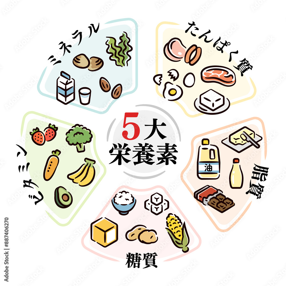 Fototapeta premium 五大栄養素