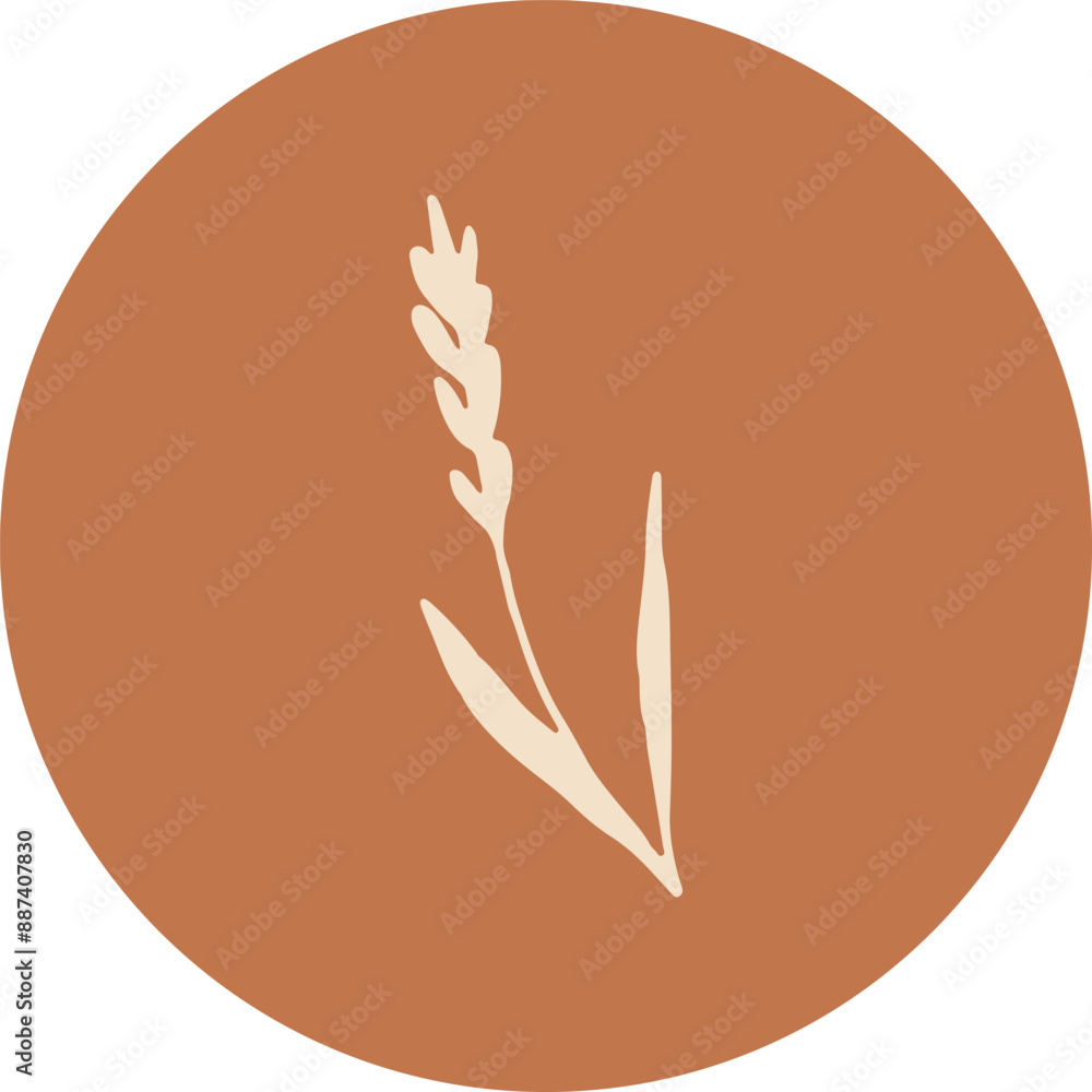Abstract Circle Floral Botanical Highlight Cover Story Abstract Circle Floral Botanical Highlight Cover Story