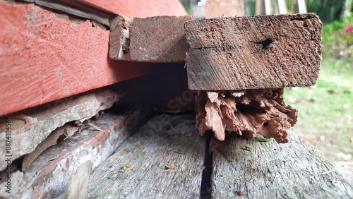 The stack of porous wood captured close up and showing the texture of the wood. No people
