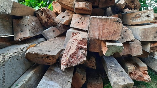The stack of porous wood captured close up and showing the texture of the wood. No people
