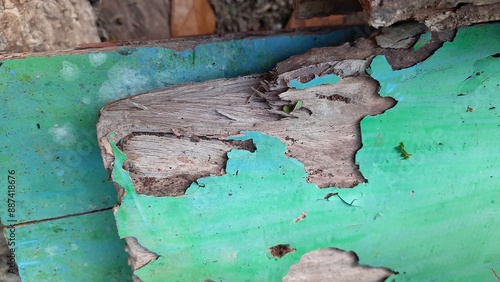 The close up view of used porous colorful wood. showing abstract textures and colorful wood paint. Used as wallpaper or background. No people.
