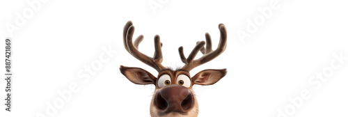 Cute Christmas reindeer Rudolph on a white isolated background. Rubbed deer head close up. Christmas banner, greeting card or letter with copy space. Happy New Year. Cute cartoon illustration
