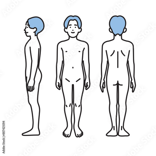 シンプル　イラスト　男性のヌードの全身の正面と後ろ姿と横向き　