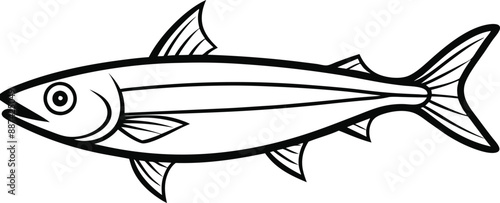 Anchovy Line art. Anchovy small forage fish isolated vector illustration icon. Vector shoaling fish used as food and bait. European anchovy, Engraulis encrasicolus, Anchoa, Anchoviella, Engraul