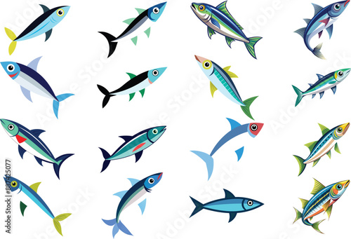 Anchovy Set bundle 16. Anchovy small forage fish isolated vector illustration icon. Vector shoaling fish used as food and bait. European anchovy, Engraulis encrasicolus, Anchoa, Anchoviella, Engraul