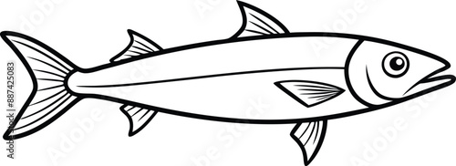 Anchovy Line art. Anchovy small forage fish isolated vector illustration icon. Vector shoaling fish used as food and bait. European anchovy, Engraulis encrasicolus, Anchoa, Anchoviella, Engraul