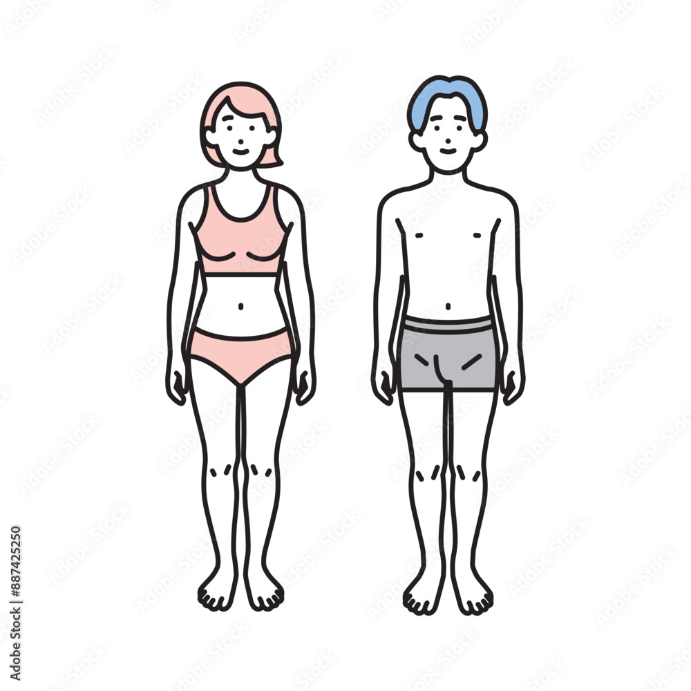 シンプル イラスト 下着の男女の全身 正面 シンプル イラスト 下着の男女の全身 正面
