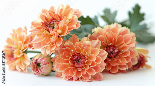 Bouquet of peach chrysanthemums with green leaves lies on a pristine white surface