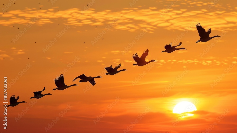 Fototapeta premium Discuss the significance of migratory patterns in birds.