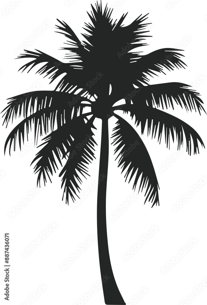 Coconut trees vector set icons silhouettes style with white background
Coconut trees vector set icons silhouettes style with white background