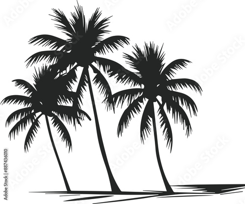 Coconut trees vector set icons silhouettes style with white background
