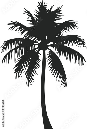 Coconut trees vector set icons silhouettes style with white background
