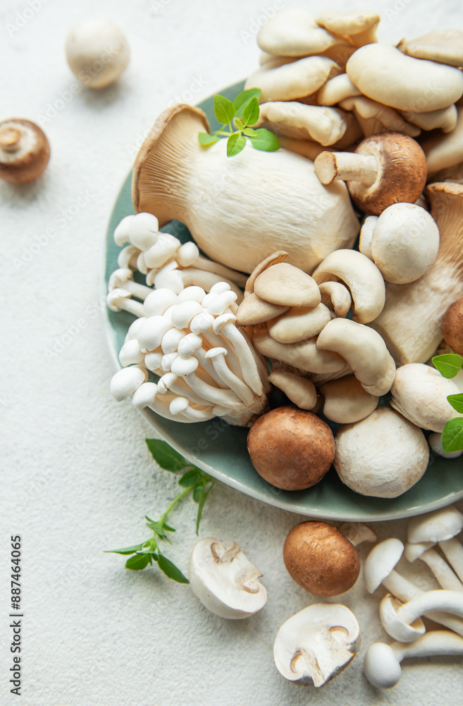 Assortment of various raw mushrooms on gray concrete background. Assortment of various raw mushrooms on gray concrete background.