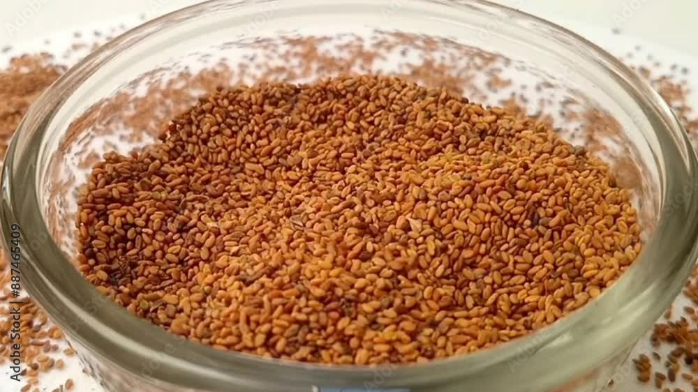 Fenugreek seeds drops in a rotating glass bowl on white background with spices spilled around it, micro shot, center frame, herbs and spices. Fenugreek seeds drops in a rotating glass bowl on white background with spices spilled around it, micro shot, center frame, herbs and spices.