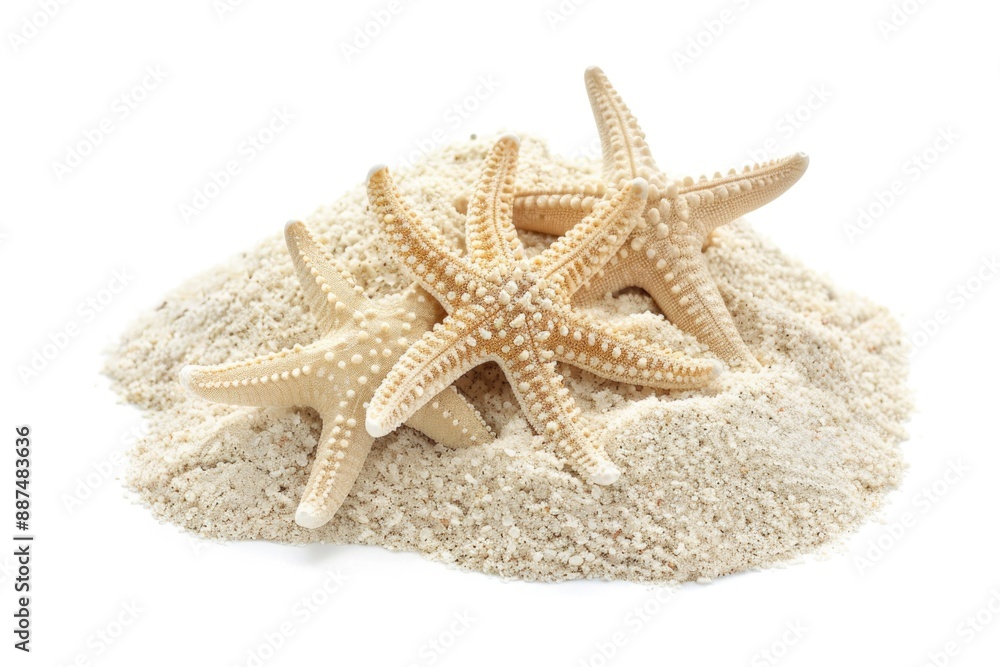 A group of starfish sit on the surface of sandy dunes, with some scattered shells and seaweed nearby A group of starfish sit on the surface of sandy dunes, with some scattered shells and seaweed nearby