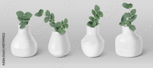 Branch with green eucalyptus leaves in white ceramic vase of different shapes. Realistic 3d vector illustration of decorative aromatic plant greenery bouquet. Botanical home interior decoration.