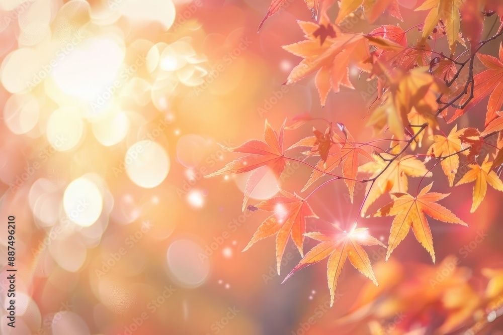 Bokeh Effects: Creates a soft, dreamy background autumn leaves and sun flare Bokeh Effects: Creates a soft, dreamy background autumn leaves and sun flare