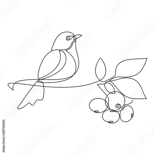 Hand drawn bird vector. One line continuous branch with leaves and berries. Cartoon linear illustration, minimal icon, print, banner, card, poster, brochure, doodle, sign, outline symbol.
