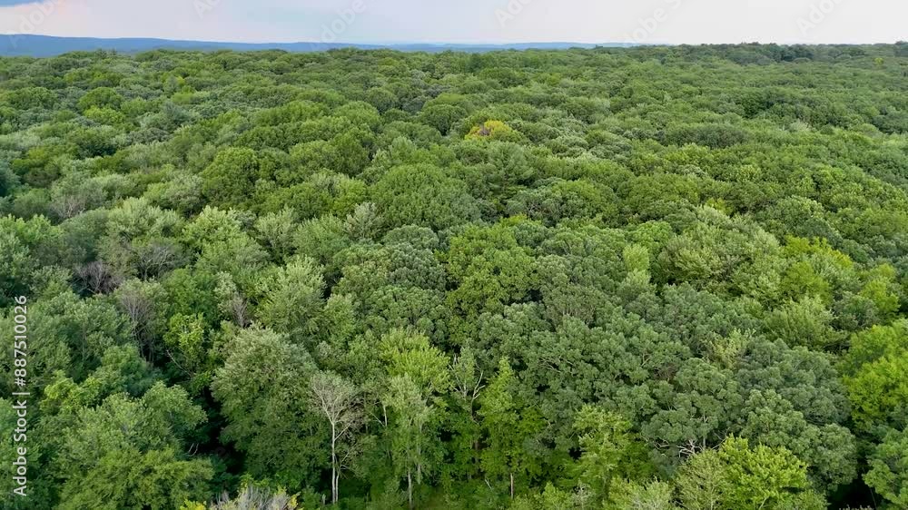 Drone video above the green forest in rural Connecticut. Summer aerial footage of Harwinton, CT. Drone video above the green forest in rural Connecticut. Summer aerial footage of Harwinton, CT.