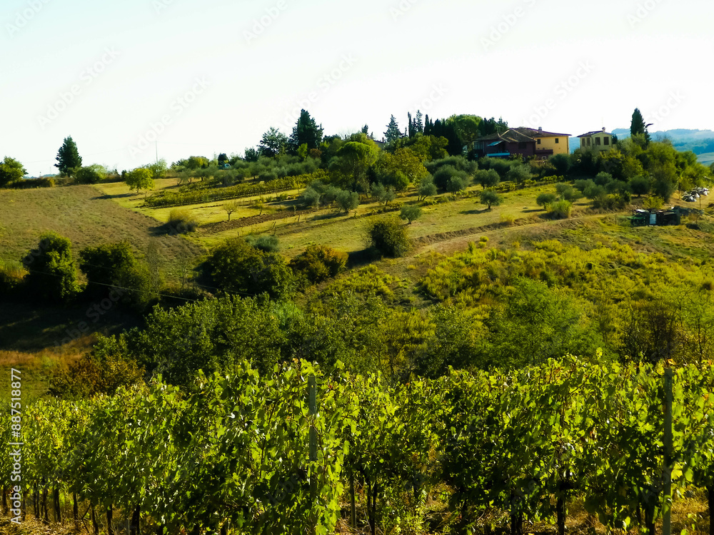Obraz premium Landscape of the Tuscan vineyards, Chianti region, Italy
