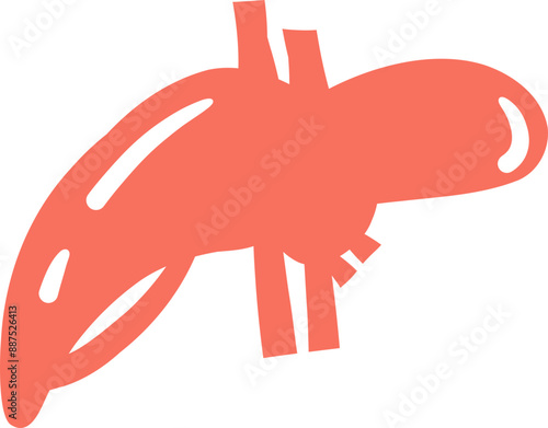 pancreas Human organ illustration anatomical for medicine, biology, education