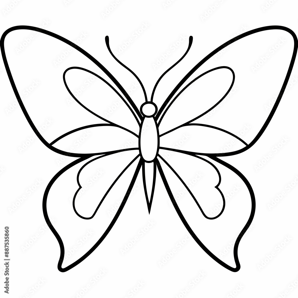 Butterfly vector illustration Butterfly vector illustration