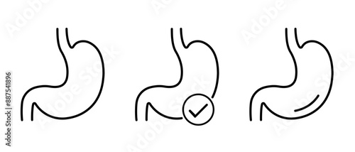 Stomach icons. Digestive health vector symbol. Stomach vector illustration.